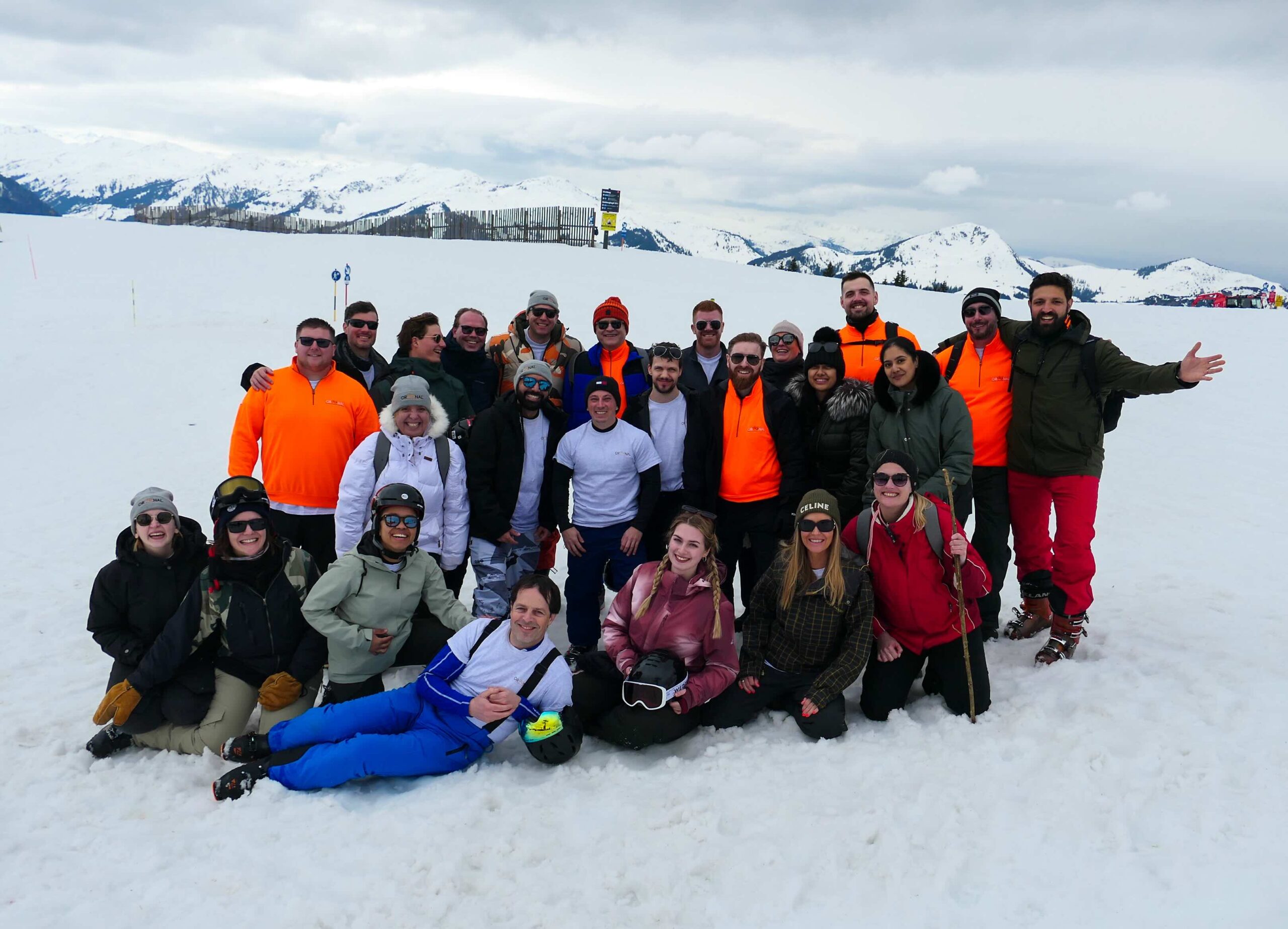A photo of the whole team taken in the alps